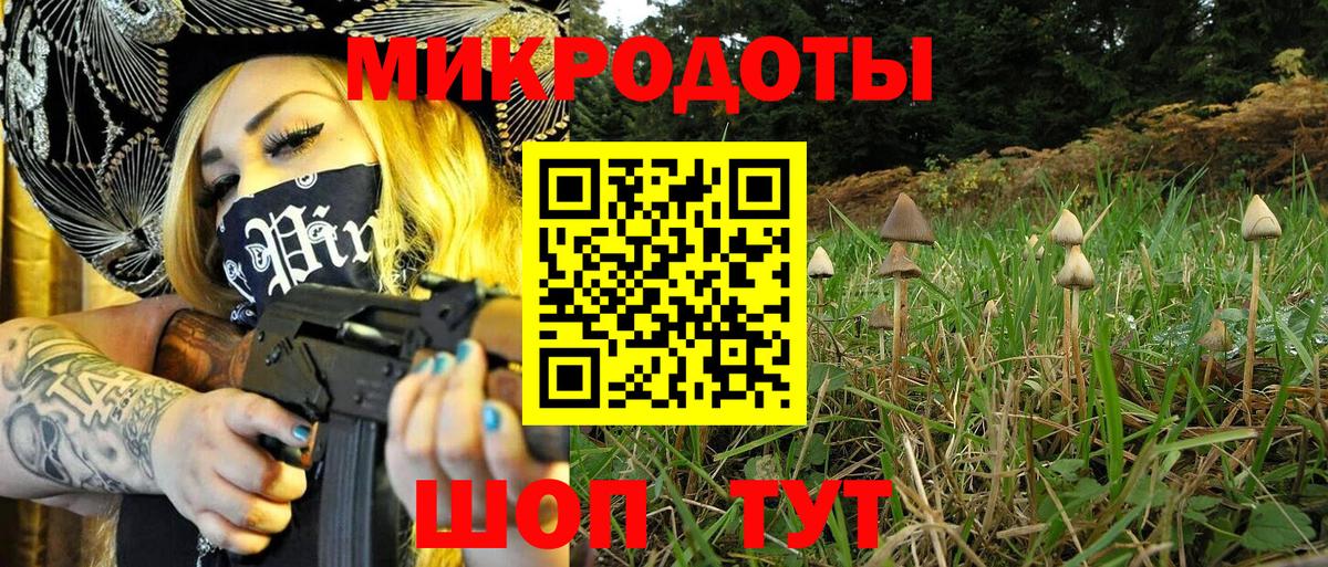 Чапаевск  что такое   Вход с VPN  Псилоцибиновые грибы GOLDEN TEACHER 